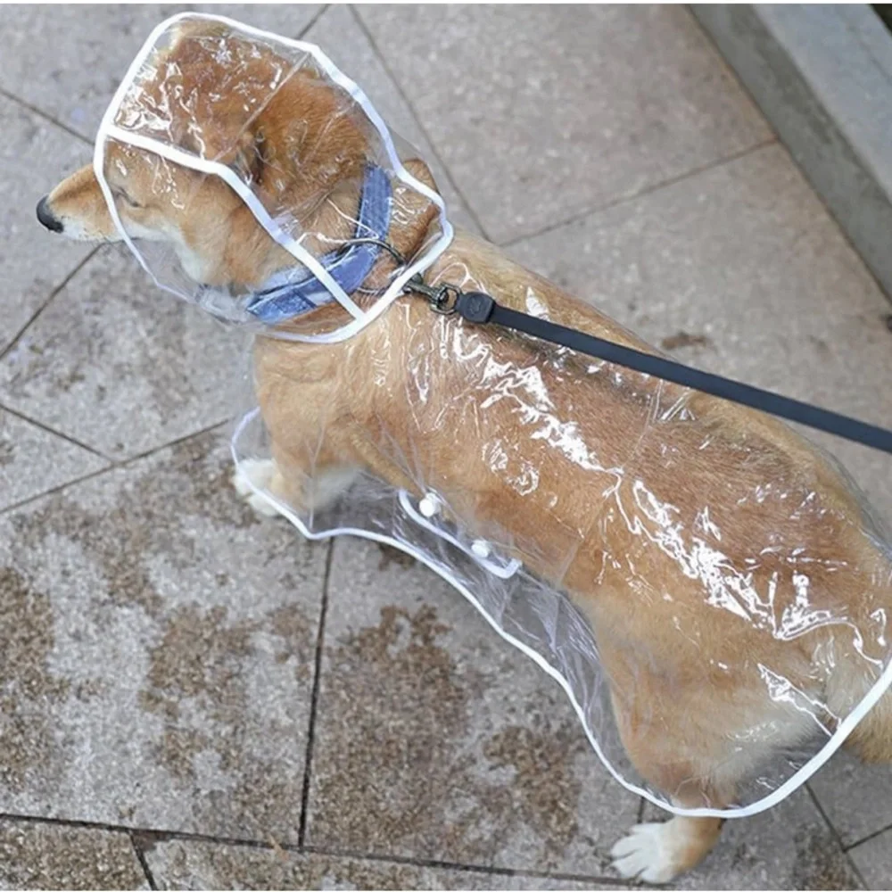 Transparent waterproof raincoat for dogs size XXL